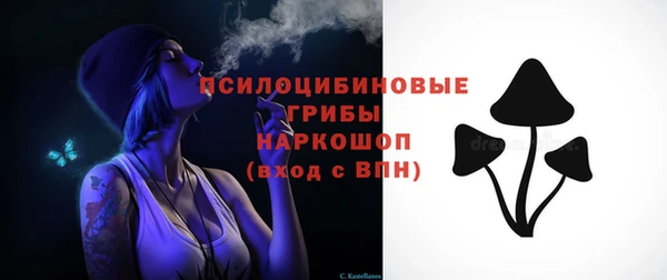 дурь Магас
