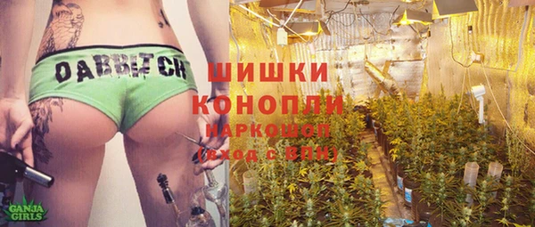 дурь Магас
