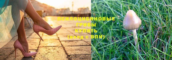 дурь Магас