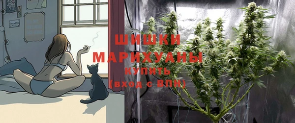 дурь Магас