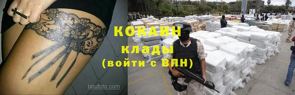 дурь Магас