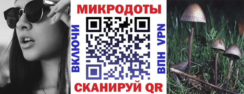 Псилоцибиновые грибы Psilocybine cubensis  kraken маркетплейс  Мурманск  где купить наркоту 