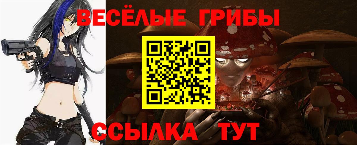 Псилоцибиновые грибы Psilocybine cubensis Мурманск