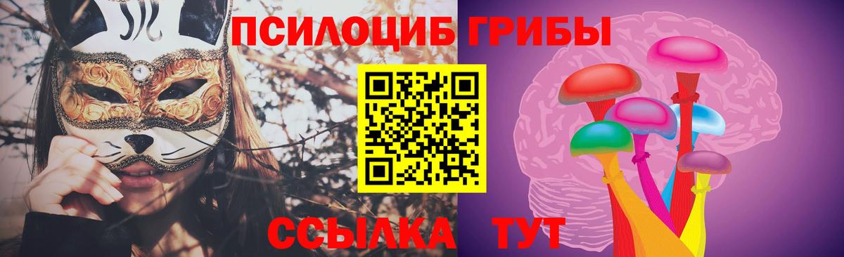 Мурманск  Галлюциногенные грибы прущие грибы  Псилоцибиновые грибы прущие грибы  даркнет сайт  Вход с VPN 